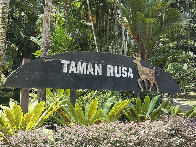 A Peaceful Escape at Perdana Botanical Park