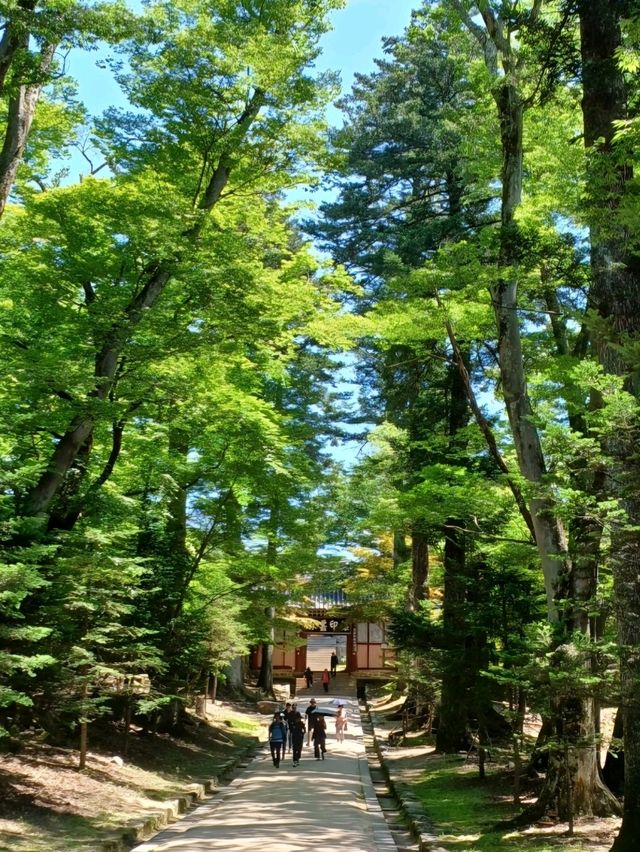 세계기록유산의 숨결
