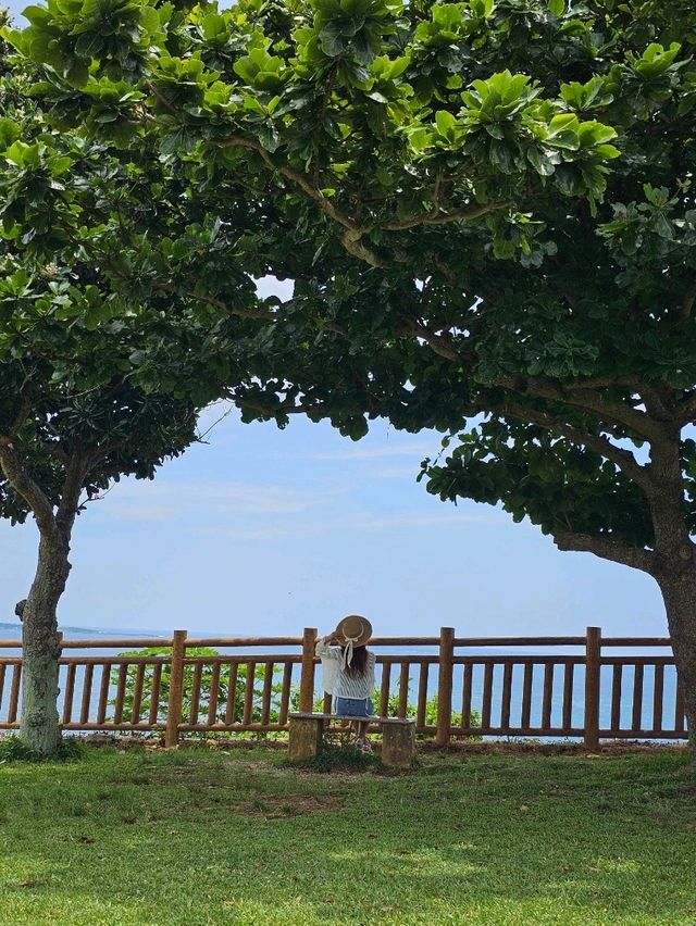 絶景パノラマ、風と太陽のテラス🌬️🌞