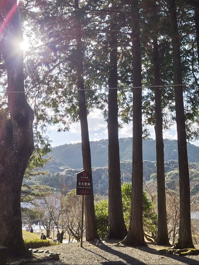 【多久聖廟】日本最古の孔子廟で、静寂と知の旅へ📚⛩️