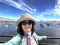 Stunning 17 Miles between Monterey and Carmel
