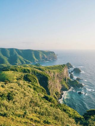 If I had a free ticket, would you go to Oki with me?