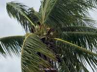 🌴 หาดวอนนภา บางแสน 