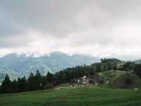 Cloudy Meadows and Friendly Sheep at Qingjing Farm