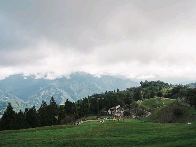 Cloudy Meadows and Friendly Sheep at Qingjing Farm