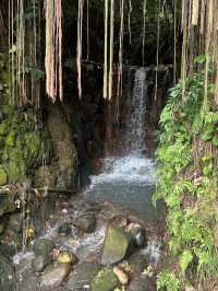 Beitou Thermal valley