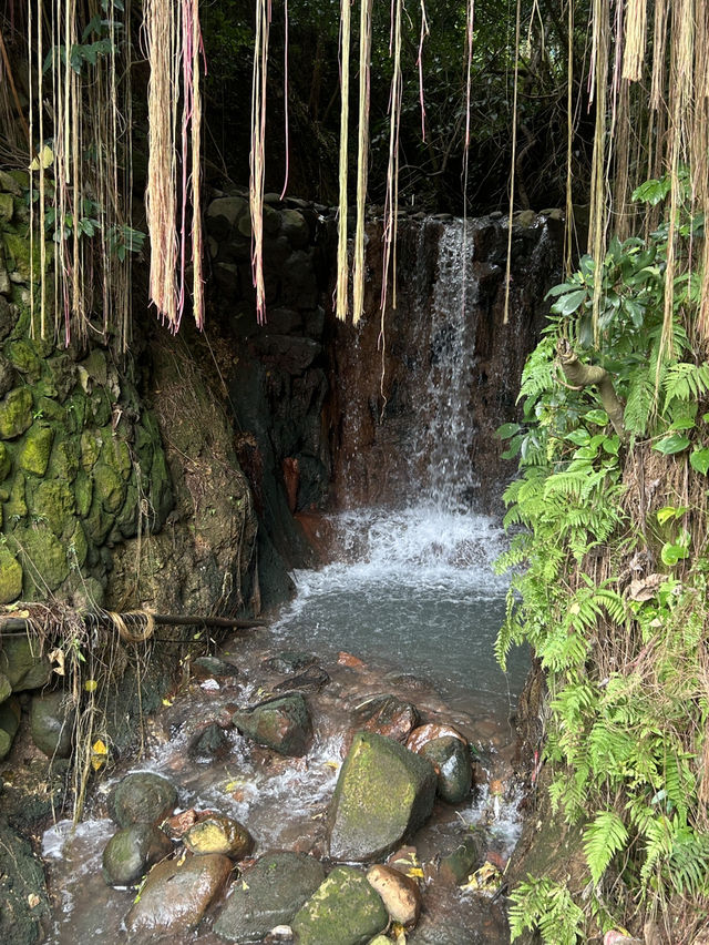 Beitou Thermal valley