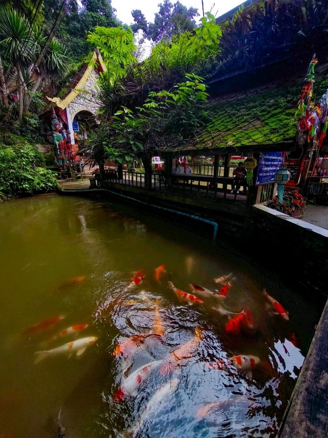 ถ้ำเชียงดาว เชียงใหม่ ถ้ำเชียงดาว เชียงใหม่