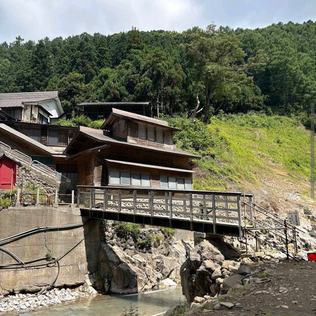 Hot Springs and Snow Monkeys: Japan’s Cutest Winter Ritual
