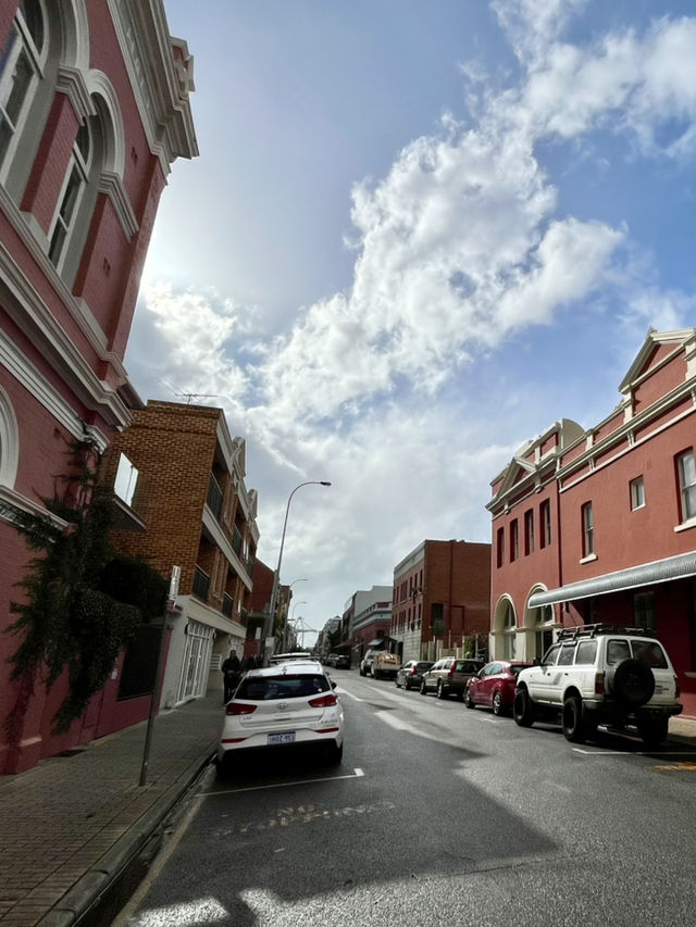 Timeless Beauty- Fremantle Street 