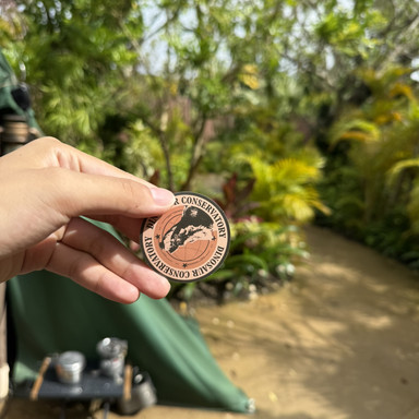 沖縄✨️ジャングリアのファインディングダイナソーズ | Trip.com 今帰仁村