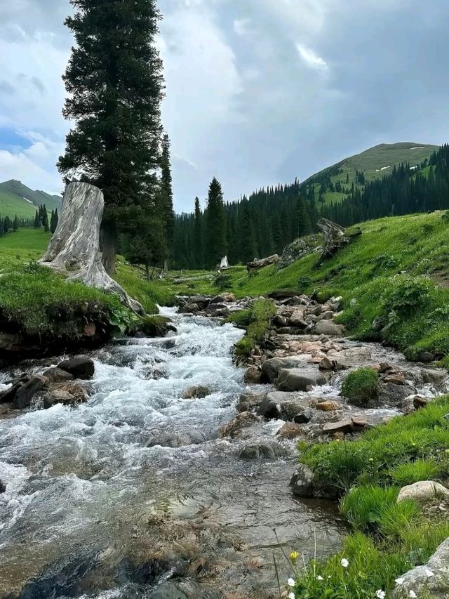 Nalati: Where Mountains Touch the Sky and Meadows Touch the Soul
