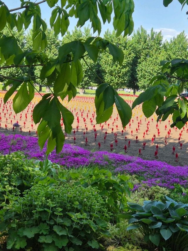 삿포로 여름여행 필수 관광지 팜토미타🪻 삿포로 여름여행 필수 관광지 팜토미타🪻