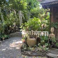 สวนป่าตากา คาเฟ่ อำเภอวังเจ้า จังหวัดตาก