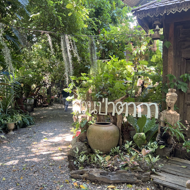 สวนป่าตากา คาเฟ่ อำเภอวังเจ้า จังหวัดตาก