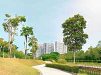 Fresh Air & Peace at Tropicana Heights Central Park ✨🌳