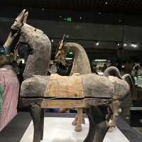 🏛 Gansu Provincial Museum — A Silk Road Time Capsule