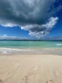 Tropical Paradise at Isla Saona