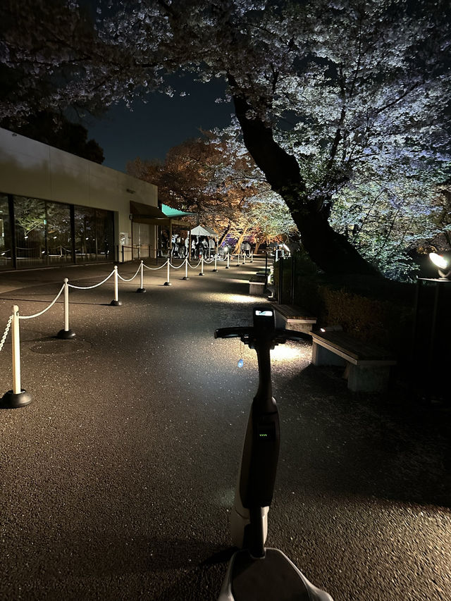 🌸 NAKED 桜の新宿御苑|デジタルと桜が融合する夜のお花見 🌸 NAKED 桜の新宿御苑|デジタルと桜が融合する夜のお花見