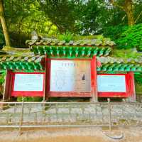 Echoes of Enlightenment at Seokguram