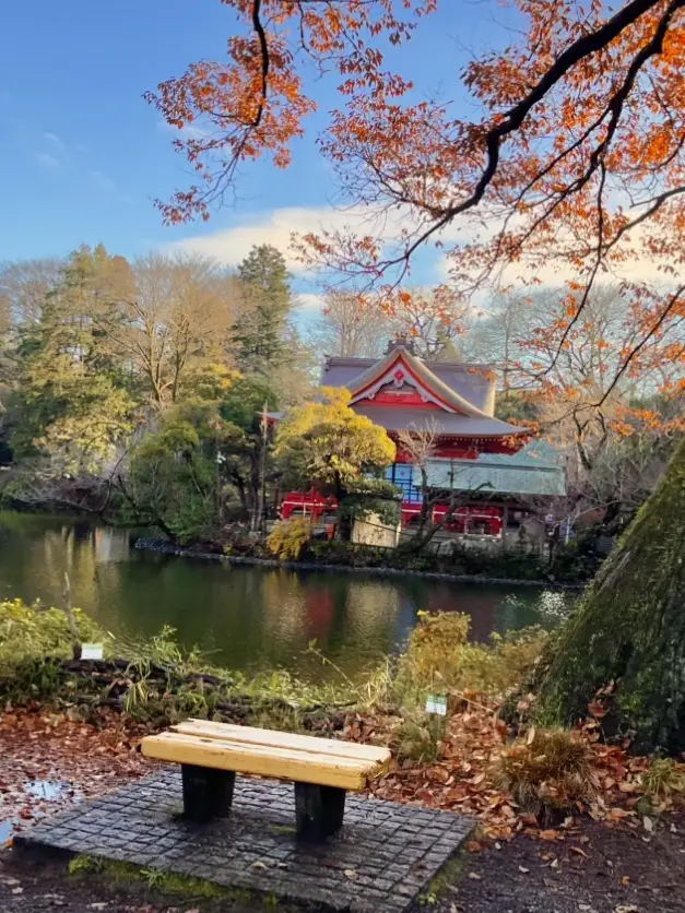 吉祥寺，夏天與冬天散步的兩種風情 