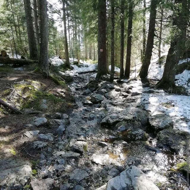 High Tatras, Slovakia
