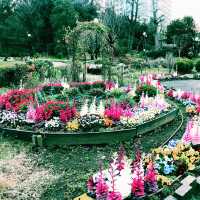 🌸 春の東京散歩 — 東京プリンス芝公園・増上寺・東京タワー