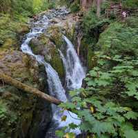 Olympic National Park (WA)