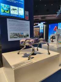 國安展覽