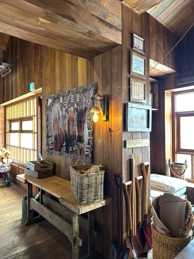 📍 제주에서 하루, 감성 충전 여행 코스 ✨