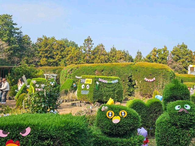 🌀 제주 김녕미로공원 – 길 찾기의 즐거움