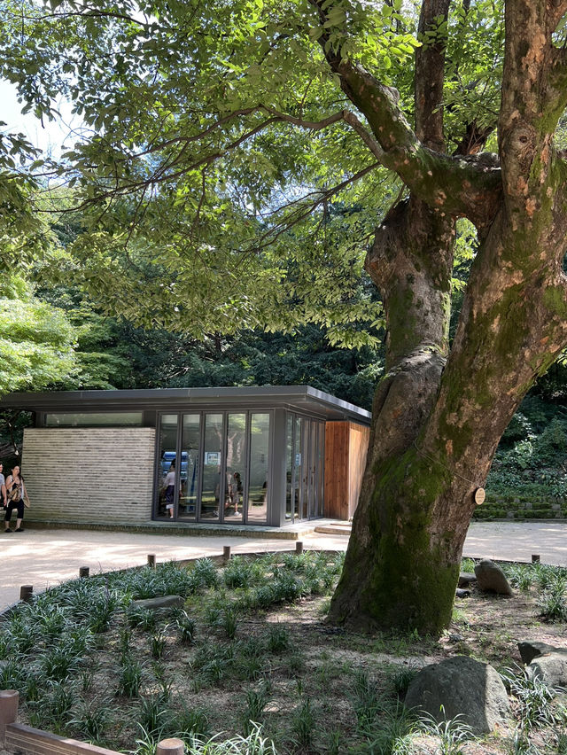 창덕궁 후원의 풍경🌳