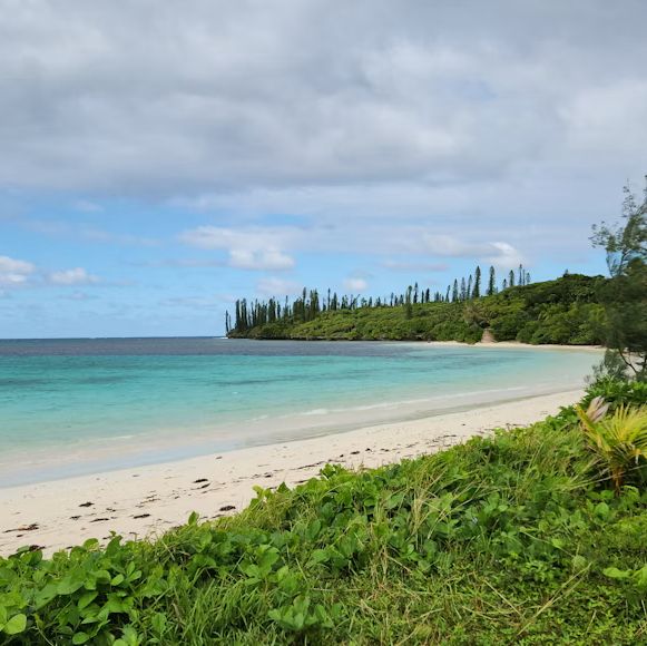 ウベア島🇳🇨