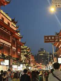 상하이의 야경 명소, 화려함의 끝판왕 예원🏮🪷