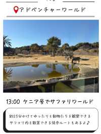 1泊2日子連れ白浜おすすめ旅行プラン✨
