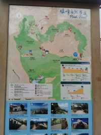 🍃 Peak Trail ที่อยู่บน Victoria Peak (The Peak)