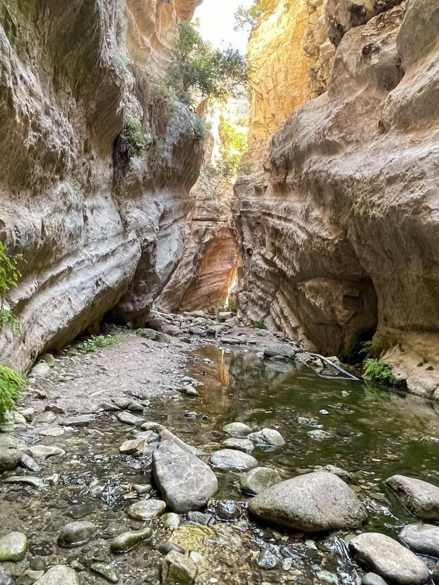 Avakas Gorge A Natural Wonder of Cyprus