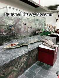 Must-Visit: National History Museum Kuching