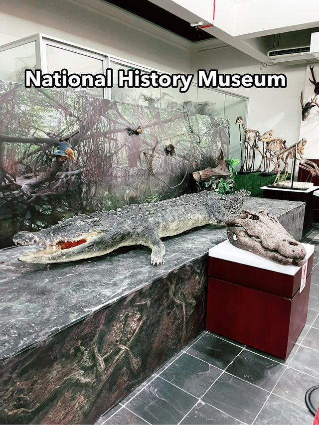 Must-Visit: National History Museum Kuching
