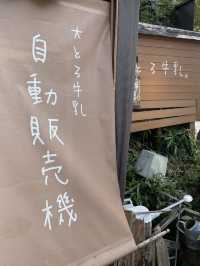 【群馬】 クセになる食感!大行列のスイーツ