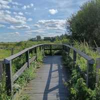 RSPB Portmore Lough Nature Reserve – Wetland Wonder by Lough Neagh