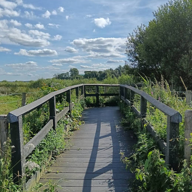RSPB Portmore Lough Nature Reserve – Wetland Wonder by Lough Neagh