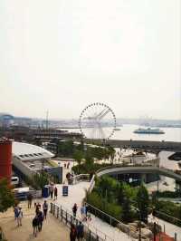 西雅圖城市的亮點❣️：Seattle Great Wheel