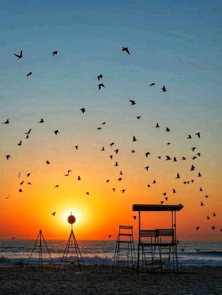 🌊 Durban’s Golden Mile – Sun, Surf & City Vibes 🌴