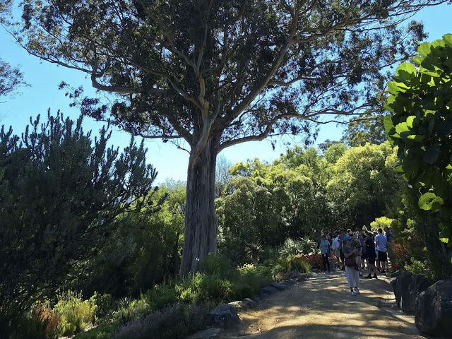 Dunedin Botanic Garden