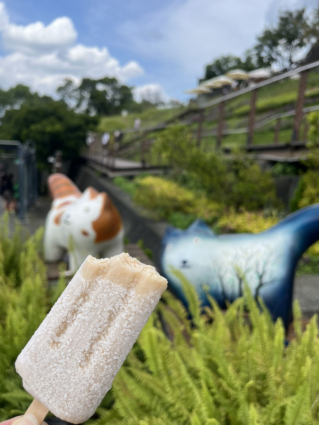 【木柵動物園】一日的動物探險🐼🦁