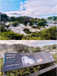 【新西蘭北島】波胡圖間歇泉（Pohutu Geyser）：震撼的自然奇觀，感受地熱的力量