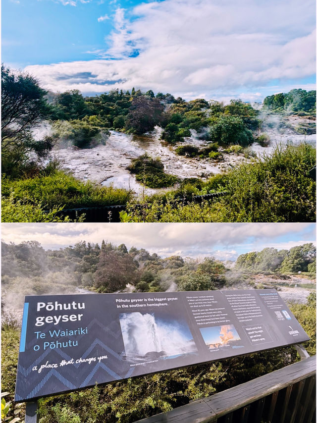 【新西蘭北島】波胡圖間歇泉（Pohutu Geyser）：震撼的自然奇觀，感受地熱的力量