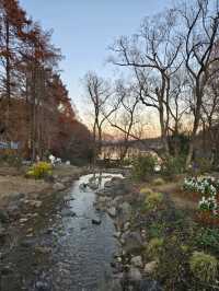 Moomin Valley Park - ไปหามูมินที่ฮันโนะกันโนะ