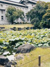 THE TOKYO NATIONAL MUSEUM.